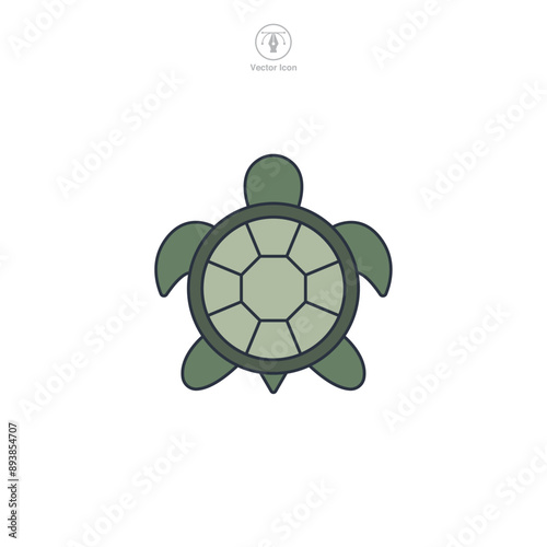 Turtle icon symbol vector illustration isolated on white background
