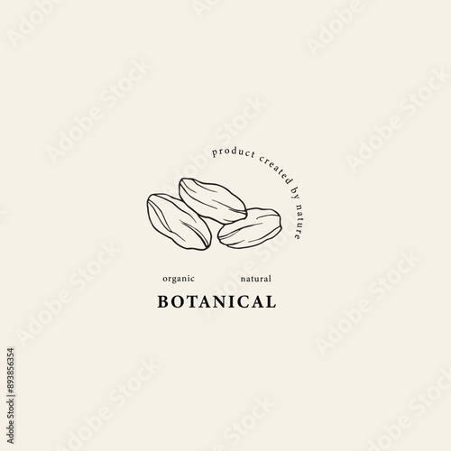 Hand drawn dried dates illustration