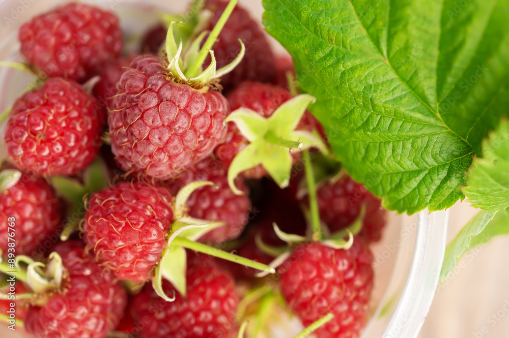 raspberries close-up. Ripe juicy raspberry harvest. Berry background. raspberries close-up. Ripe juicy raspberry harvest. Berry background.