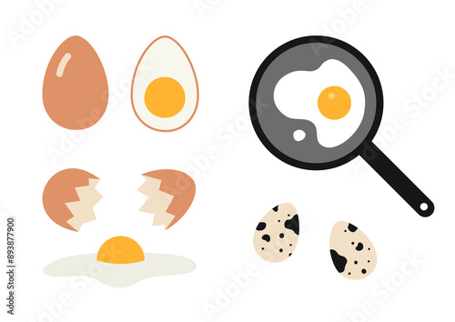 Different types of eggs, raw and boiled, chicken and quail eggs, scrambled eggs in a frying pan. Vector illustration isolated on white background, hand drawn, flat design