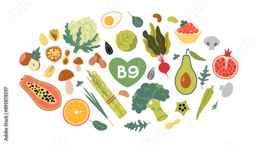 Best sources of vitamin B9 foods. Fruits, vegetables and nuts set. Isolated vector illustration, hand drawn, flat design