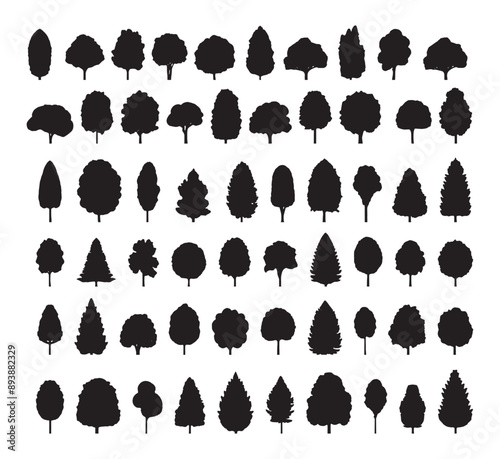 Trees Black Silhouettes Icons Set Low Details Crisp Contours White Background Illustration Nature Botanical Minimalist Flat Design Decorative Elements Vector Graphics Digital