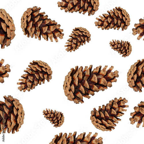 Pattern with pine cones on isolated background