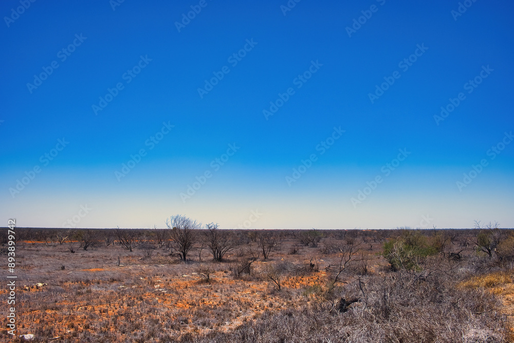 Desolate landscape with burnt vegetation in the featureless Western Australian outback between Coral Bay and Carnarvon
Desolate landscape with burnt vegetation in the featureless Western Australian outback between Coral Bay and Carnarvon