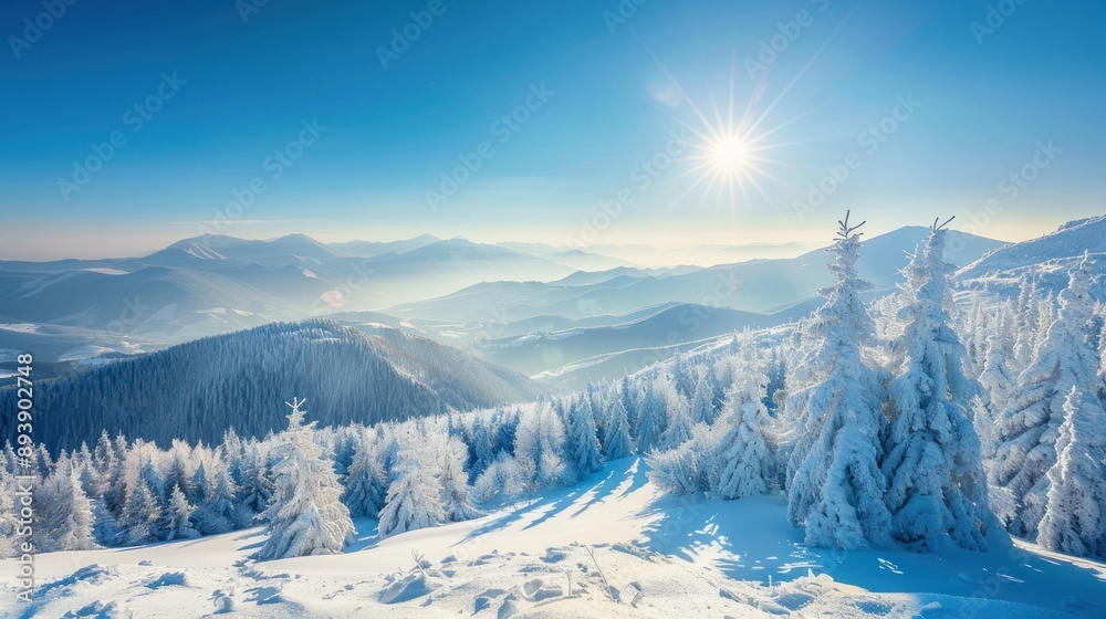 Snowcovered trees stand tall against a backdrop of mountain peaks and a bright blue sky Snowcovered trees stand tall against a backdrop of mountain peaks and a bright blue sky