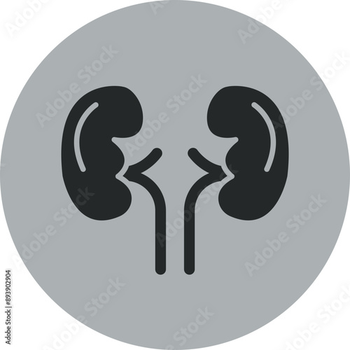 Kidneys Icon Design