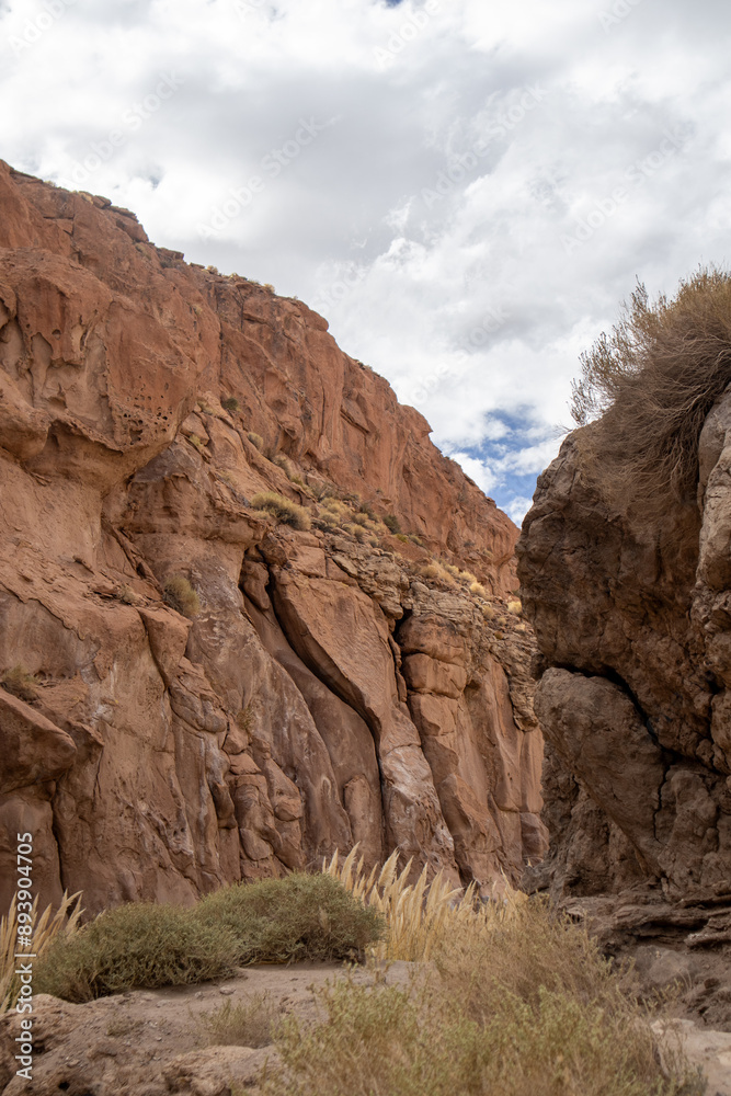 Fototapeta premium red rock canyon