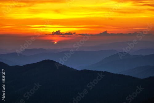 blooming pink rhododendrons flowers, amazing panoramic nature scenery, Carpathian mountains, border Ukraine and Romania, Europe 