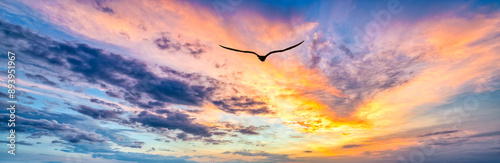Fotografi Bird Sunset Flying Inspirational Divine Spiritual Freedom Ocean Sunrise Hope Fai