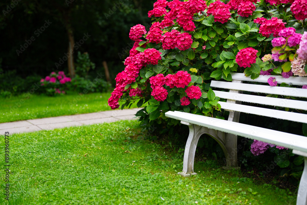 Calm place. Rest and relax. Meditation. Peace and relax. Wooden bench in park. Peaceful and quiet place. Loneliness. Bench in flower garden. Calm place. Rest and relax. Meditation. Peace and relax. Wooden bench in park. Peaceful and quiet place. Loneliness. Bench in flower garden.