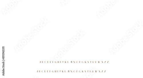 Elegant Vector Alphabet Letters Font - Classic Modern Serif Lettering for Minimal Fashion
