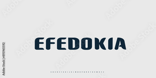 Elegant Vector Alphabet Letters Font - Classic Modern Serif Lettering for Minimal Fashion
