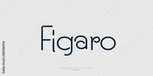 Elegant Vector Alphabet Letters Font - Classic Modern Serif Lettering for Minimal Fashion
