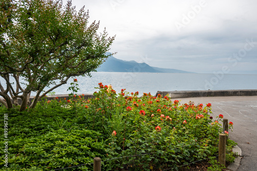 Panorama of town of Vevey and Lake Geneva, Switzerland