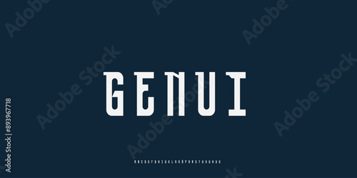 Elegant Vector Alphabet Letters Font - Classic Modern Serif Lettering for Minimal Fashion
