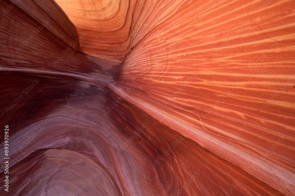 Obraz premium Sandstone Formations, The Wave, Paria Canyon-Vermillion Cliffs Wilderness, Arizona, U.S.A.