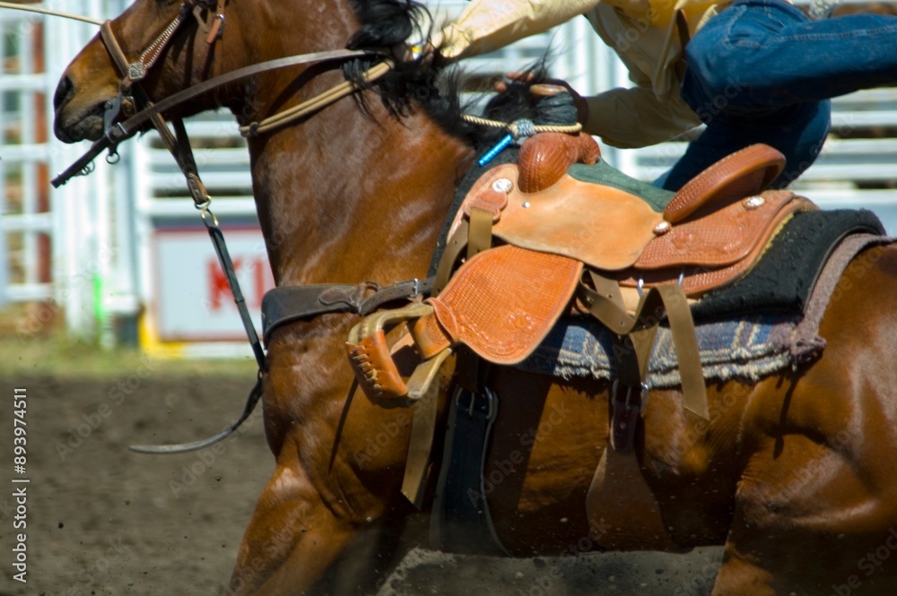 Obraz premium Excitement Of Rodeo