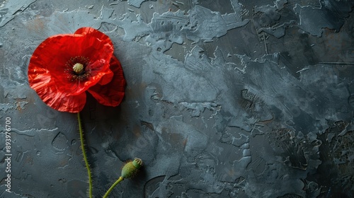 Red poppies on black background. Remembrance Day, Armistice Day, Anzac day symbol