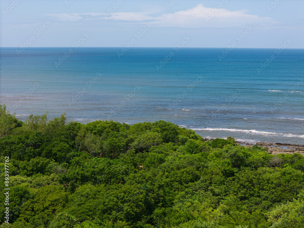 Tree nature on blue sea and sky background Tree nature on blue sea and sky background