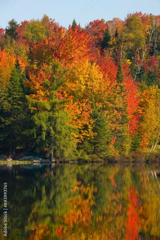 Body Of Water In Autumn Body Of Water In Autumn