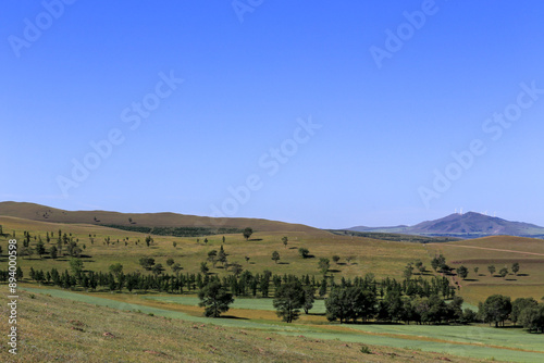 landscape with trees and clouds