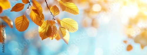 A leafy tree branch with leaves that are yellow and green