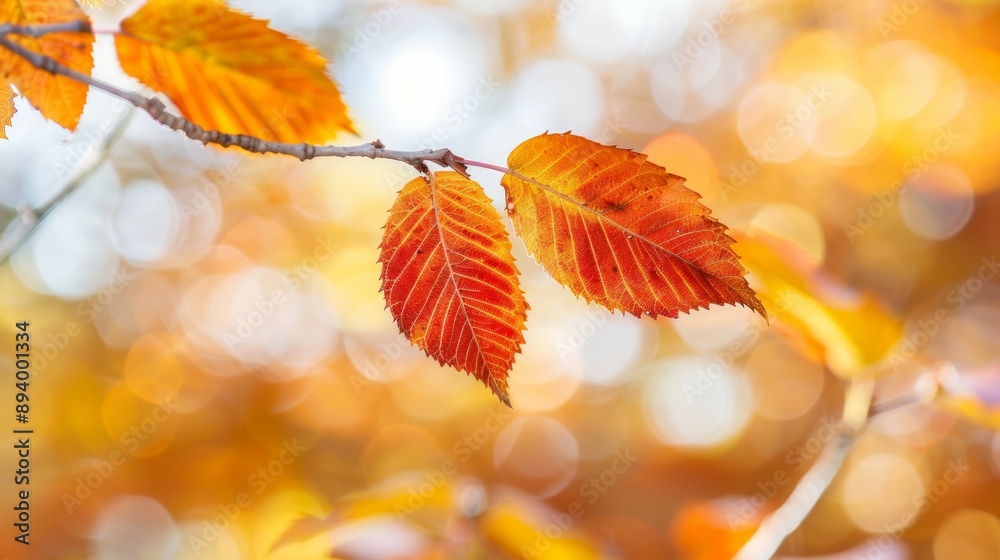 A leaf is hanging from a tree branch and is orange in color A leaf is hanging from a tree branch and is orange in color
