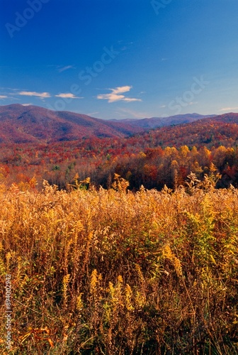Photos Pisgah National Forest In Autumn