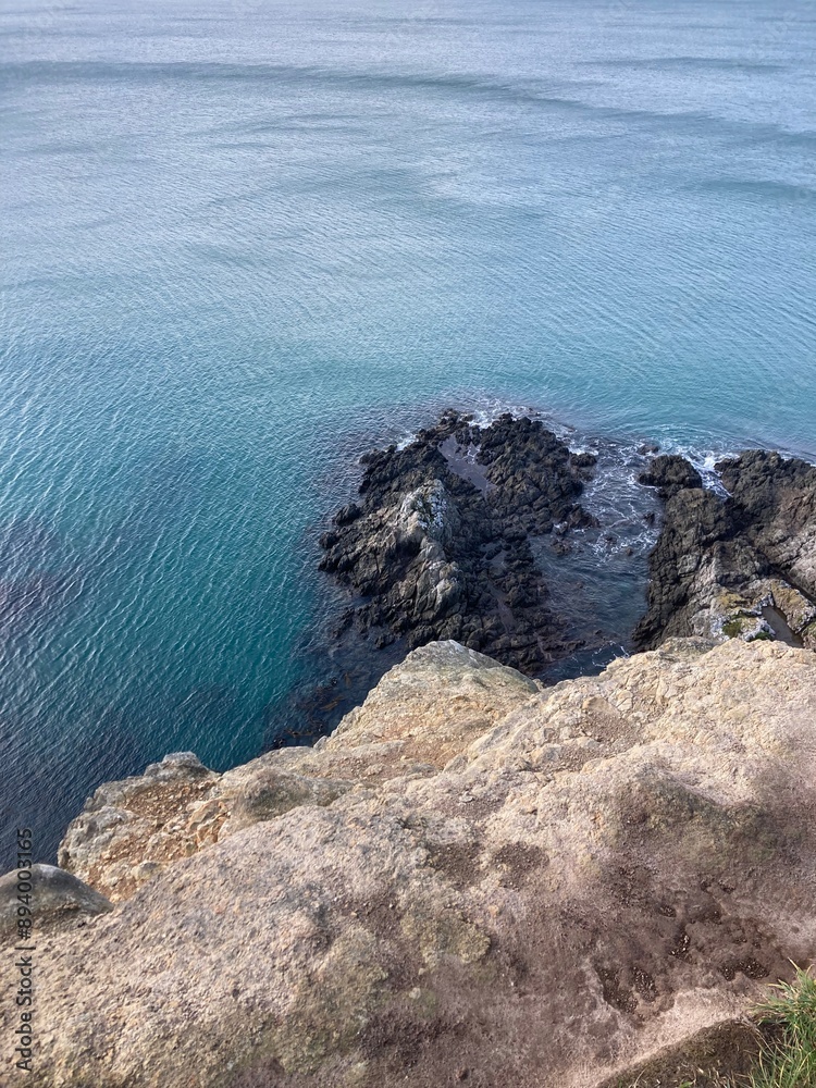 Dunedin Coastal Cliff View Dunedin Coastal Cliff View