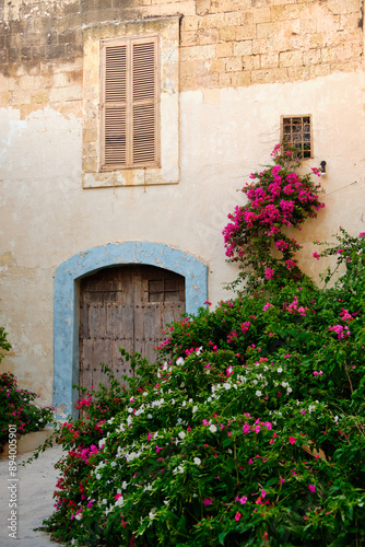 Blooming purple and white flowers in front of an old wall, door and shutter - Mdina, Malta