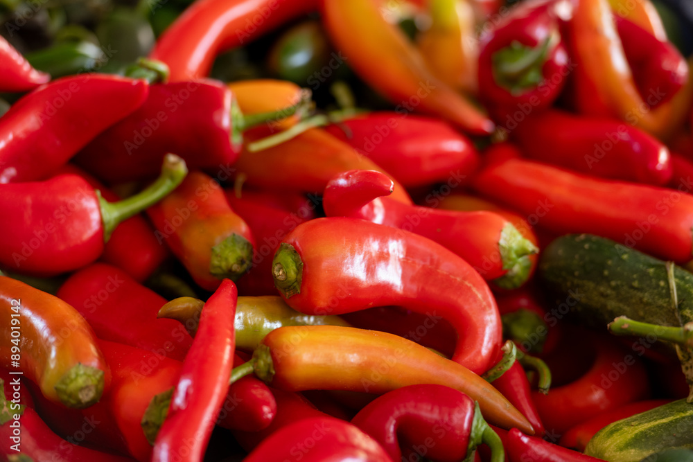 A bundle of siling labuyo or Filipino bird's eye chilies known as the World's smallest hot pepper. The small vivid red fruit has smooth shiny skin and a tapered shape. The stems are green colored. A bundle of siling labuyo or Filipino bird's eye chilies known as the World's smallest hot pepper. The small vivid red fruit has smooth shiny skin and a tapered shape. The stems are green colored.