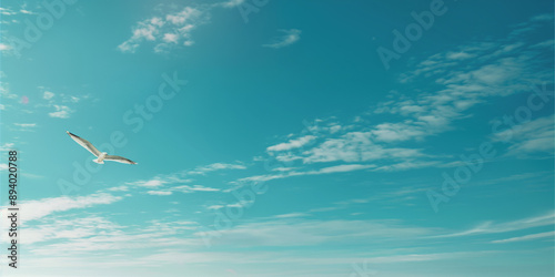 vast blue sky shot, no cloud, faraway a white bird frying, centerd in the frame, calm and serene atmosphere photo