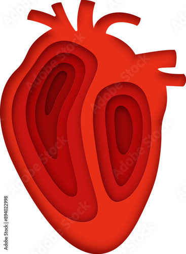 Paper cut red human heart for medical banner of cardiology or healthcare charity, vector icon. Papercut heart poster for cardiac medicine, world heart health day or life donor social campaign badge
