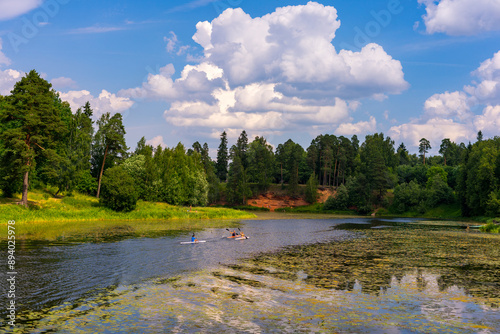 lake in the forest