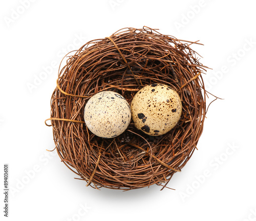 Nest with fresh quail eggs ...