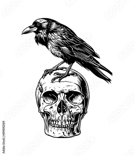 crow skull engraving black and white outline