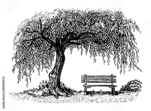 bench willow tree engraving black and white outline