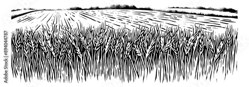 wheat field engraving black and white outline