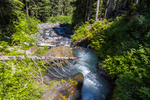 waterfall in the forest