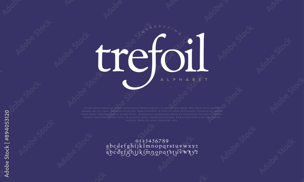 Trefoil swash luxury elegant alphabet letters and numbers. Vintage wedding typography classic serif font decorative vintage retro. creative vector illustration Trefoil swash luxury elegant alphabet letters and numbers. Vintage wedding typography classic serif font decorative vintage retro. creative vector illustration