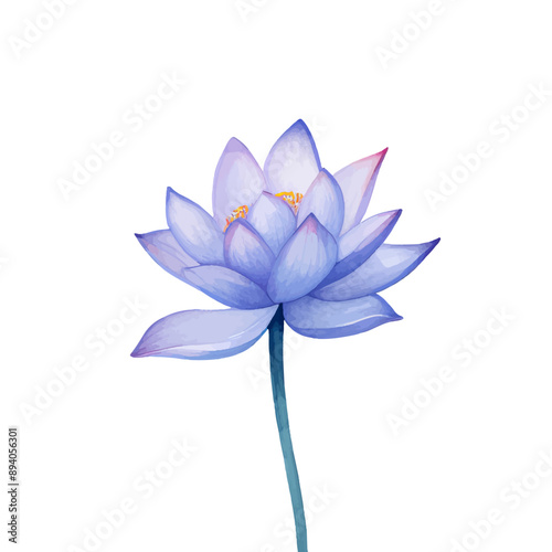beautiful watercolor clipart lotus flower 