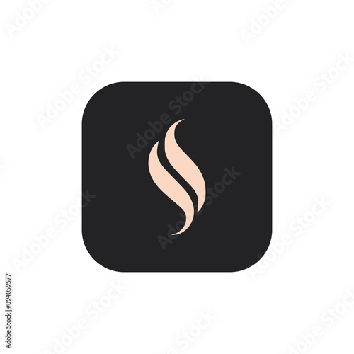 double letter S luxury logo vector illustration template design
