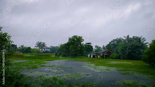 heavy rainfall in the village of india. photo