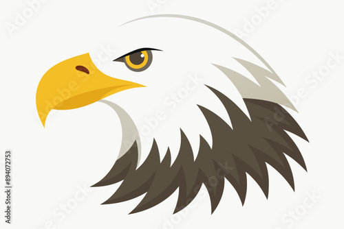 Eagle head illustration in high detail, perfect for branding, logos, and wildlife themes. photo