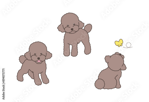 トイプードルのシンプルなイラストセット