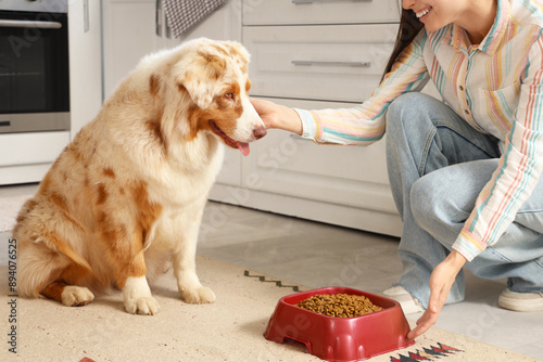 Young woman feeding Australian Shepherd dog with dry food at home photo