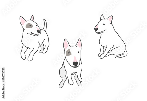 ブルテリアのシンプルなイラストセット
