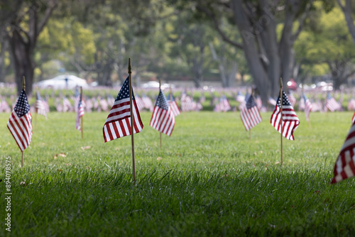 Arlington National Cemetery, Washington D.C. photo