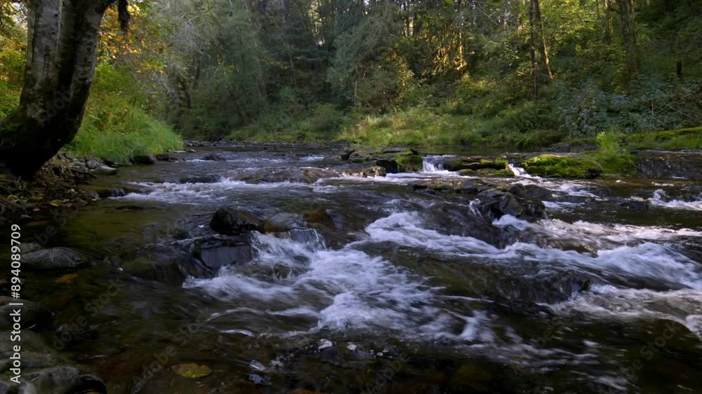 The Coweeman River in Washington State flows through a lush, forested landscape, offering a serene and picturesque scene with clear waters, rocky banks, and abundant wildlife. The Coweeman River in Washington State flows through a lush, forested landscape, offering a serene and picturesque scene with clear waters, rocky banks, and abundant wildlife.