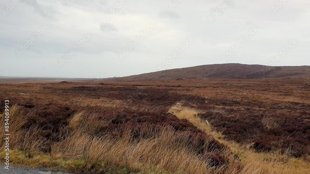 Golden brown tussock and grass landscape on windy day in rural countryside of Outer Hebrides in Scotland UK Golden brown tussock and grass landscape on windy day in rural countryside of Outer Hebrides in Scotland UK